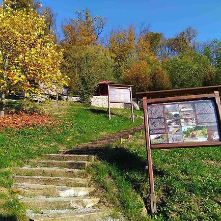 Vila Trnoruzica Тухель Екстер'єр фото